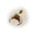Abalone Perlmutt Halbmond Anhänger, 24 K Gold plattiert (Weiß | Natur)